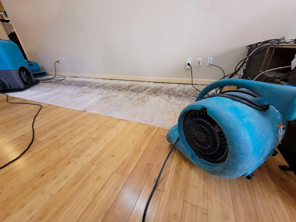 Professional Basement Flood Cleanup technician working in Clinton, MO